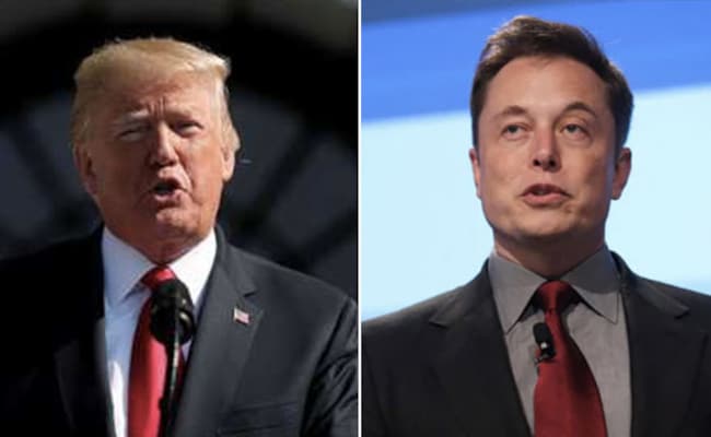 Em Shoutout For Trump no Tesla Meet, Elon Musk o chama de fã do Cybertruck