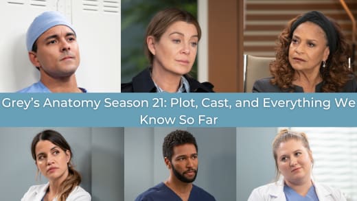 Líder EWK da 21ª temporada de Grey's Anatomy